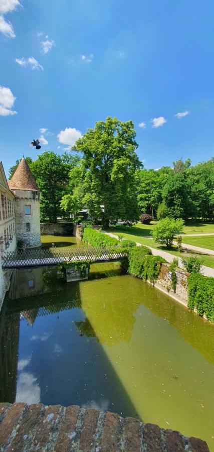 Chateau De La Cour Senlisse Экстерьер фото
